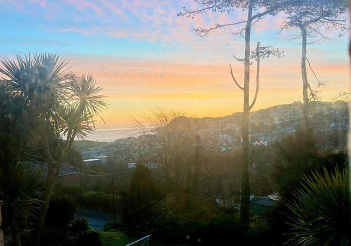 Westwell Hall Guest Accommodation, Bed & Breakfast, Luxury Rooms Ilfracombe Exteriör bild